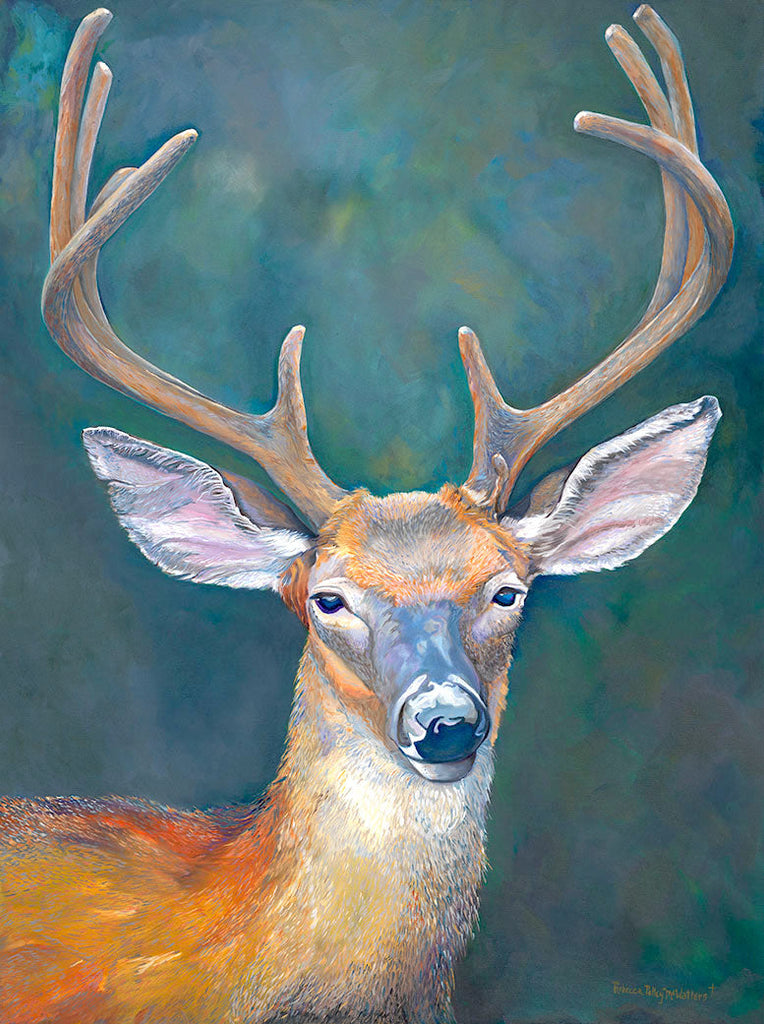 Cimarron the Deer - Franc Lee Art, LLC