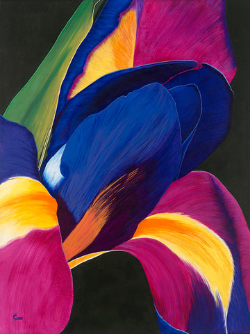 Abstract Iris